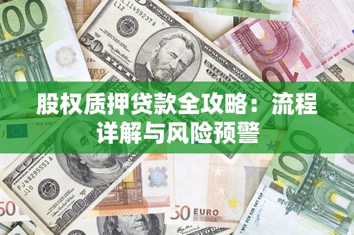 北京股权质押贷款全攻略：流程详解与风险预警