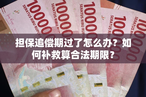 北京担保追偿期过了怎么办？如何补救算合法期限？