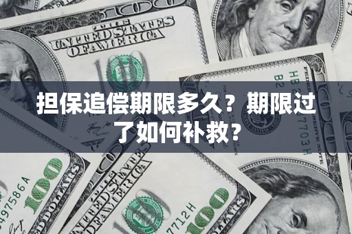 北京担保追偿期限多久？期限过了如何补救？