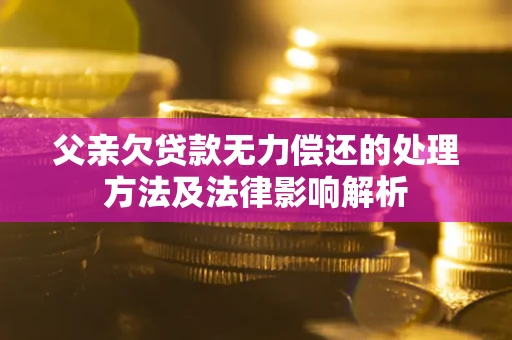 北京父亲欠贷款无力偿还的处理方法及法律影响解析